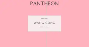 Wang Cong: A Leader in Innovation and Technology