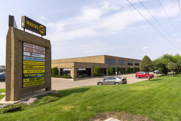 Wayne: A Multifaceted Talent Captivating Audiences