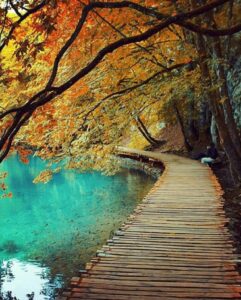 The Impact of WhatsApp on Modern Communication