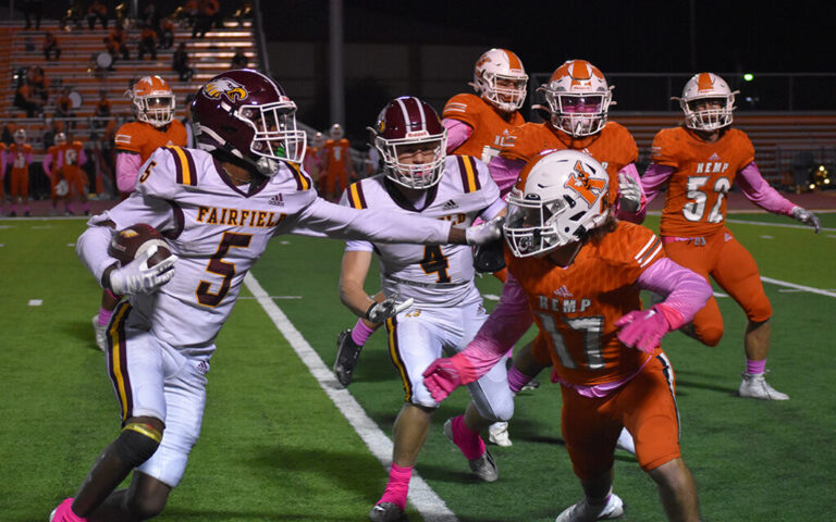 Understanding Yellowjackets: Nature’s Intriguing Wasps