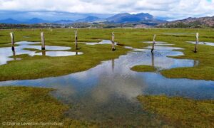 Discovering Ynys Gifftan: A Hidden Gem in Wales