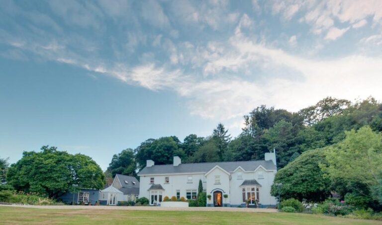 Exploring Ynyshir Restaurant: A Unique Dining Experience