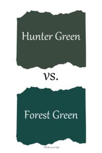 York City vs Forest Green: A Match to Remember