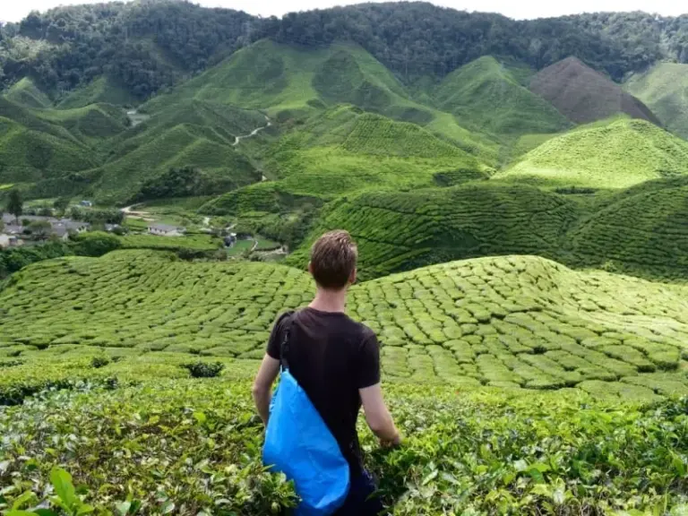 23 March Holiday: Significant Observances in 2026