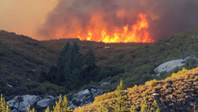 Climate Change: The Escalating Crisis