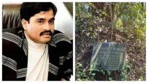 dawood — IN news