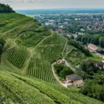 France: G7 Foreign Ministers’ Meeting in