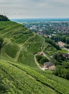 France: G7 Foreign Ministers’ Meeting in