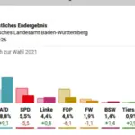 Frohnmaier: A Shift in the Political Landscape of Baden-Württemberg