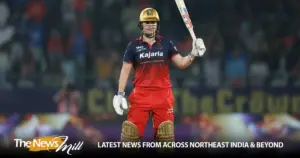 georgia voll — IN news