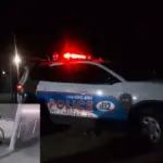 Grips: Panic  Chandigarh as Residents Spot Leopard in Sector 29