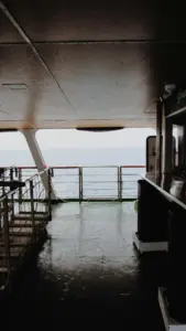 india vs newzealand — IN news