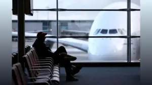 indigo flight returns delhi — IN news