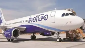 indigo share price — IN news