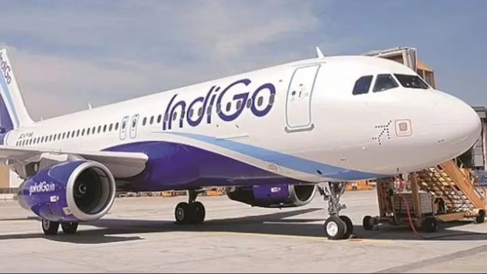 indigo share price — IN news