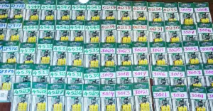 Lottery Result: Kerala Suvarna Keralam SK-46 Draw Results Announced