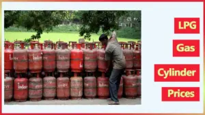 lpg gas price — IN news