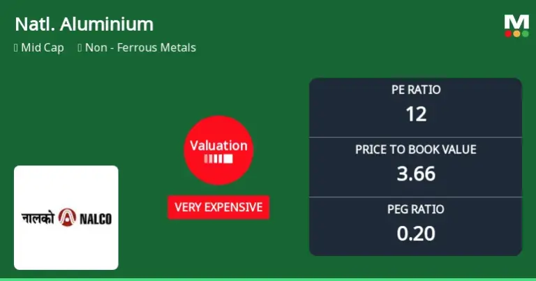 NALCO Share Price Surges Amid Strong Market Performance