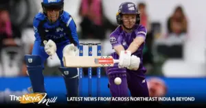 nicola carey — IN news