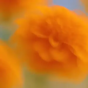 OpenAI: Aiming for $4 Billion in Funding Amid Strategic Partnerships