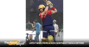 phil salt — IN news