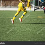 Playing Match: T20 Cricket Showdown Set for February 15, 2026