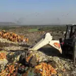 Raid on Expired Food Products in Jaipur and Fake ED Raid in New Delhi