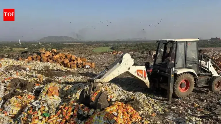 Raid on Expired Food Products in Jaipur and Fake ED Raid in New Delhi