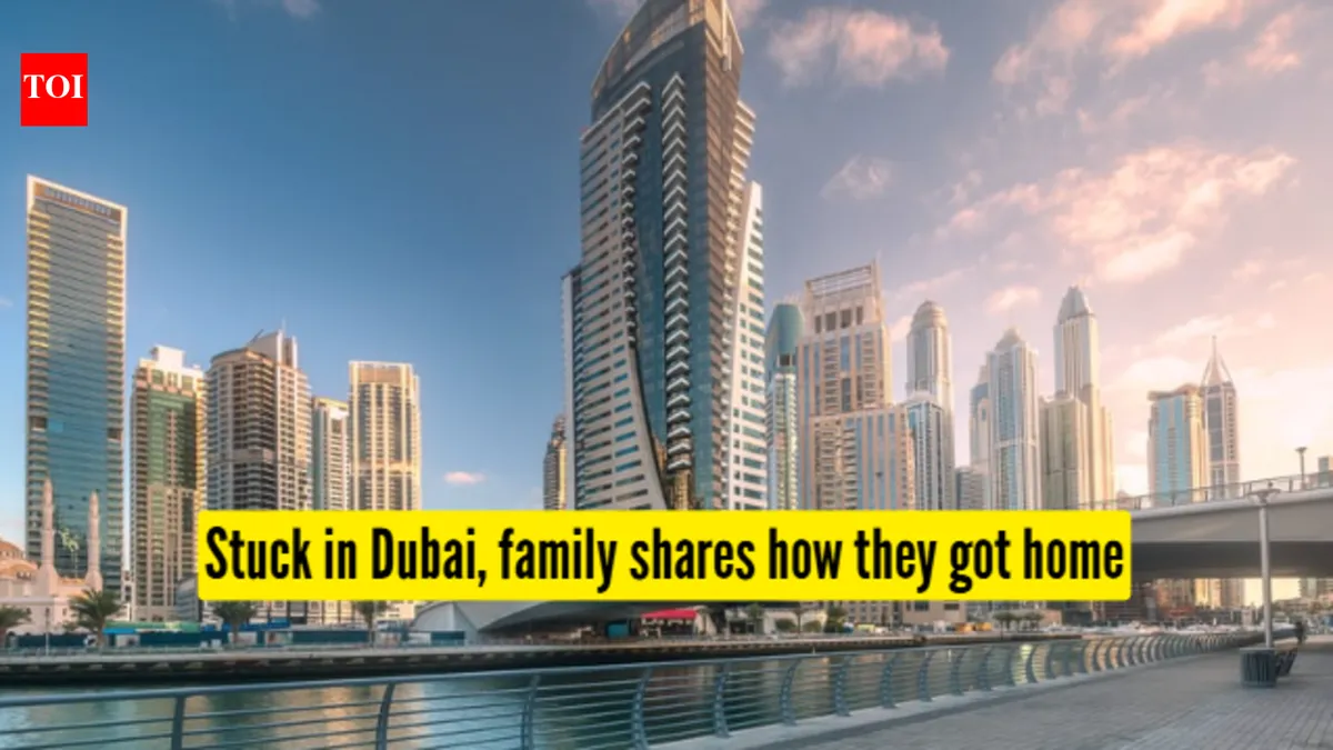 uae dubai news — IN news