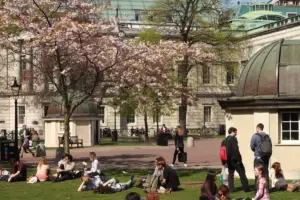 UCL: Arsenal and Bayer Leverkusen Prepare for Knockout Clash