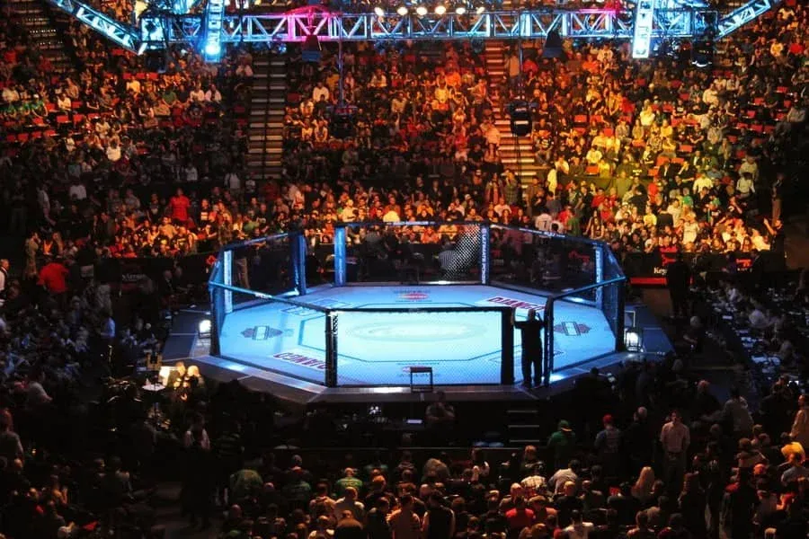 ultimate fighting championship — IN news