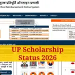 UP Scholarship Status: What You Need to Know