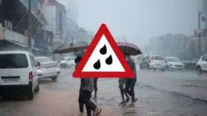 weather jalandhar — IN news