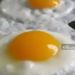 Bengaluru Canteen Food Poisoning Affects 97 Employees