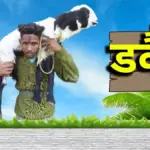 डकैत फिल्म: Dacoit Film Breaks Expectations with Impressive Opening