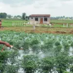 IMD 2026 Monsoon Forecast: Below Normal Rainfall Expected