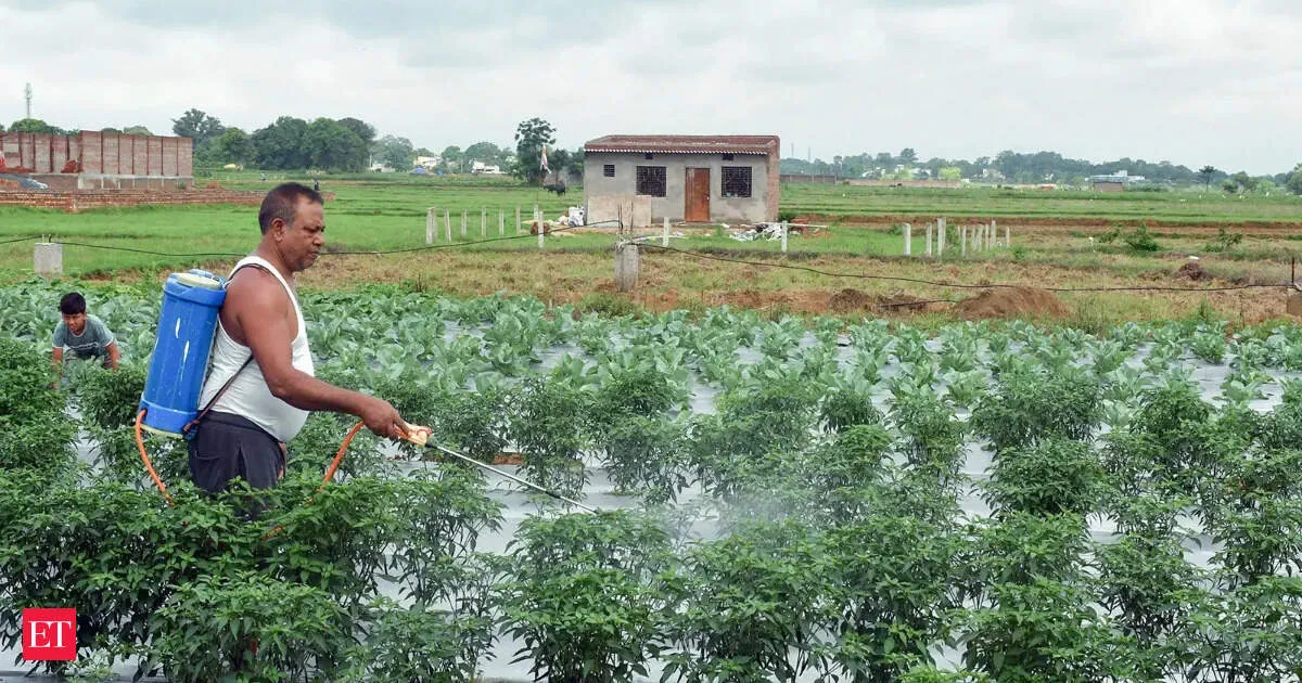imd 2026 monsoon forecast — IN news