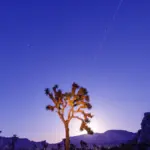 Lyrid Meteor Shower Peaks April 21-22