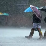 மழை: Rain in Tamil Nadu: Update on Recent Weather Patterns