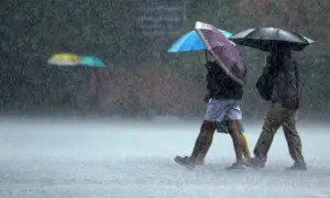 மழை — IN news