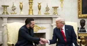 salvador — IN news