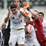 Santos vs Atlético Mineiro: A Crucial Match for Playoff Hopes