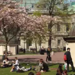 UCL Update: Bayern Munich and Arsenal Advance in Quarter-Finals