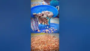 വെളിച്ചെണ്ണ — IN news