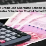 Emergency credit line guarantee scheme