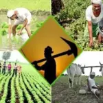 Agriculture Festival to be Organized by Union Agriculture Minister
