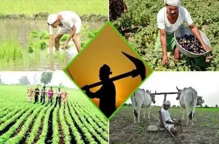 Agriculture Festival to be Organized by Union Agriculture Minister