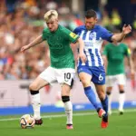 Newcastle vs brighton